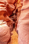 Canyon X Entrance Photograph by Michael DeGrenier