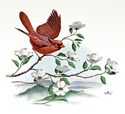 Cardinal and Flowering Dogwood Painting by Don Balke