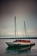 Castaway. Photograph by Jeff Sinon