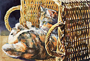 KiKi in Basket Painting by Grant Nixon