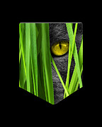 Cat Pocket Grass Digital Art by Flippin Sweet Gear