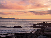 Catalina Magic Hour Photograph by Joe Schofield