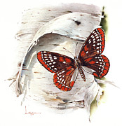 Checkerspot Butterfly Painting by Lyle Tayson