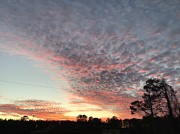 Chilly Evening Sunset Photograph by Catherine Wilson