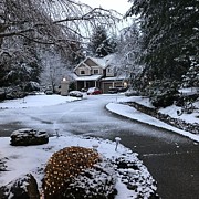 Christmas Snow Photograph by Juliette Becker