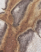 Coastal Patterns and Textures Photograph by Shankar Adiseshan