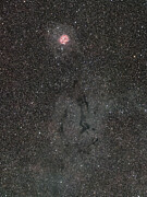 Cocoon Nebula Photograph by Brian Weber