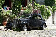 Colonia Classic Car 1 Photograph by Richard Reeve