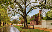Colonial Autumn on Palace Green Street Photograph by Rachel Morrison