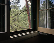 Colorado - View thru window after rain Photograph by Robert Niemeier