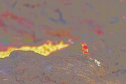 Colorful Bird on Rocky Outcrop by the Ocean Digital Art by Bruce Block