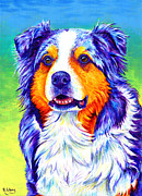 Colorful Blue Merle Australian Shepherd Dog Painting by Rebecca Wang