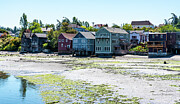 Colorful Coupeville at Low Tide Photograph by Tom Cochran