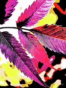 Colorful Leaf Arrangement Digital Art by Bruce Block