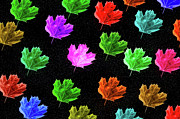 Colorful Leaf Collage Mixed Media by Dan Sproul