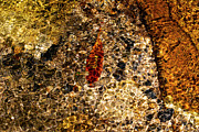 Colorful Mountain Creek Bed Photograph by Charles Floyd