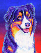 Colorful Tricolor Australian Shepherd Painting by Rebecca Wang