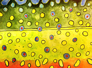 Colors of a Brookie Painting by Grant Nixon