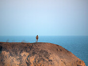 Concerts by the Sea Photograph by Joe Schofield