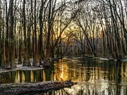 Congaree Creek at Sunset Photograph by Charles Hite