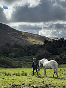 Connemara Horse at Kylemore Abbey Ireland Photograph by Mary Lee Dereske