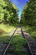 Converging Tracks Photograph by Steven Nelson