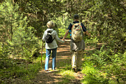 Cook Forest Hiking Partners Photograph by Adam Jewell