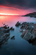 Cornwall Pinks Photograph by Monamifoto