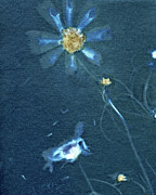 Cosmos to the Right Cyanotype Photograph by Elizabeth Reich