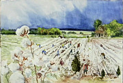 Cotton Pickin' Days Painting by Sheila Parsons
