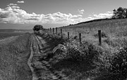 Country Lane at Ebey's Landing Photograph by Mary Lee Dereske