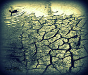 Cracked below the surface Photograph by David McKinney