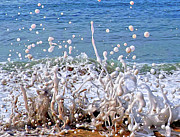 Crossing the Firth of Froth Photograph by Joe Schofield