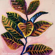Croton Plant 3/3 Painting by Lucia Stewart