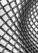 Curved Photograph by Elvira Peretsman