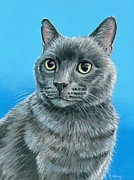 Cute Gray Kitty Cat Painting by Rebecca Wang