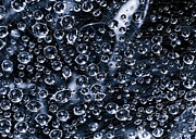 Cyanotype Spider Web Close-up with Dew Drops Photograph by Charles Floyd