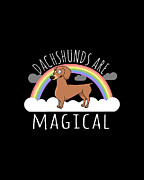 Dachshunds Are Magical Digital Art by Flippin Sweet Gear