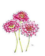 Dahlias for Frances II Painting by Catherine Bede