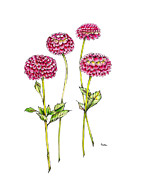 Dahlias for Frances III Painting by Catherine Bede