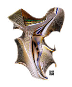 Dancing with the Stars Digital Art by Rafael Salazar