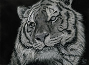 Day Dreamer Painting by Mark Ray