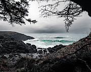 Depoe Bay, Oregon Photograph by Shannon Williams