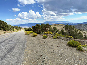 Descending White Mountain Road Photograph by Joe Schofield