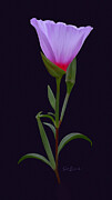 Digitally Painted Bluebell Photograph by Sue Leonard