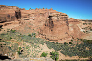 Distant Delicate Arch Photograph by Diane Moller