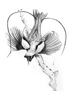 Drawing of a Bird Drawing by Michel Cruz-Garcia