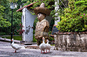 Ducks at Parque Bordo Photograph by William Scott Koenig