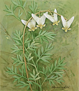 Dutchman's Breeches Painting by Gordon Beningfield