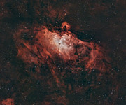Eagle Nebula Photograph by Brian Weber